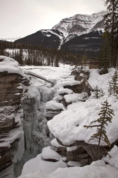 Athabasca Falls in de Winter — Stockfoto