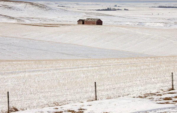 Alberta byggnader och fält i vinter — Stockfoto