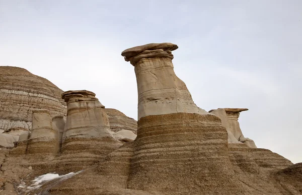 Badlands Alberta  hoo doo — Stock Photo, Image