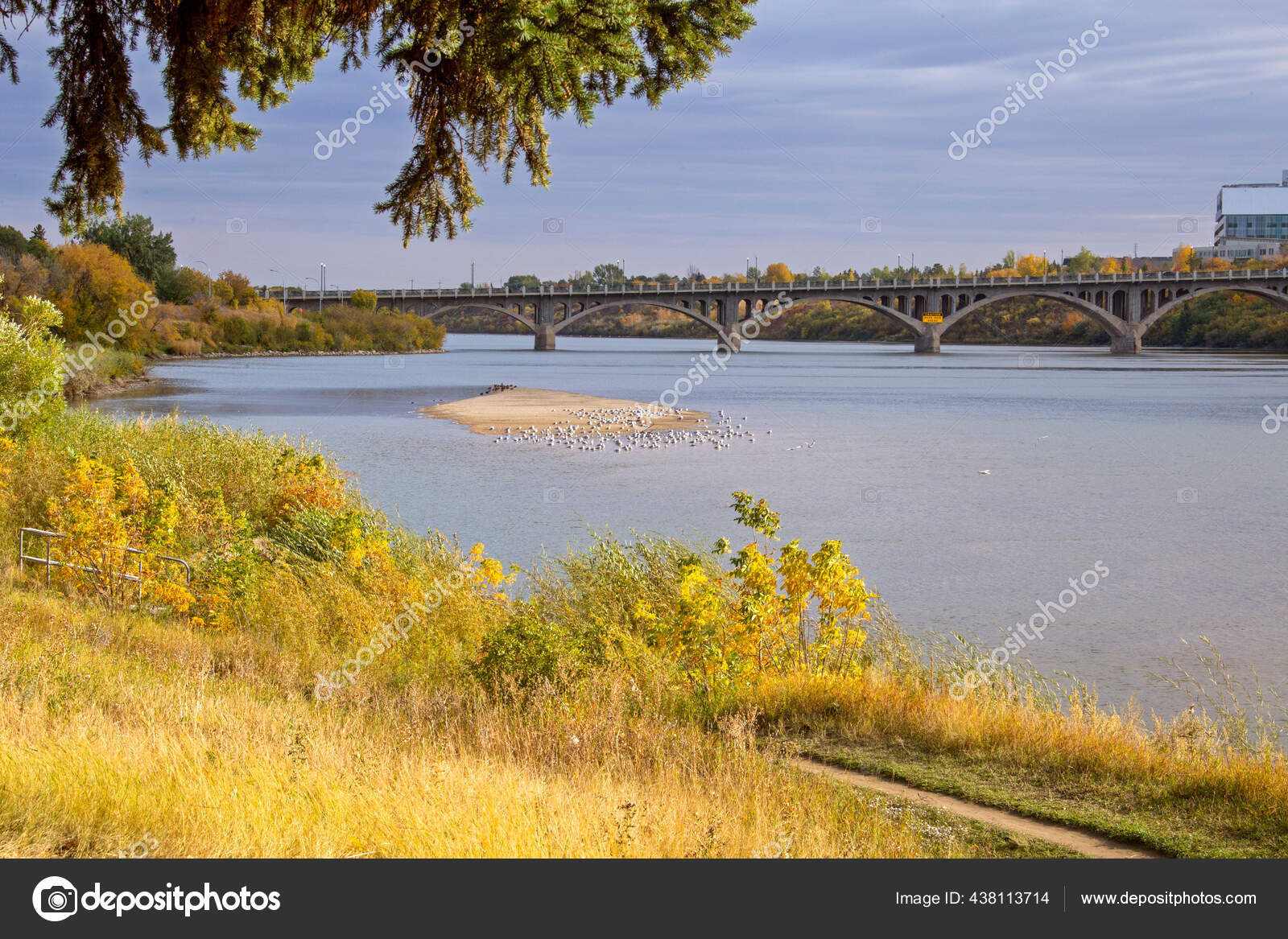 North Saskatchewan River Saskatoon Stock Photo Image By C Pictureguy 438113714