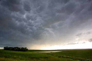 Uğursuz Fırtına Kırsal Yaz Sahnesi 'ni Bulutlandırıyor