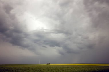 Uğursuz Fırtına Kırsal Yaz Sahnesi 'ni Bulutlandırıyor