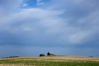 Uğursuz Fırtına Kırsal Yaz Sahnesi 'ni Bulutlandırıyor