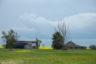 Uğursuz Fırtına Kırsal Yaz Sahnesi 'ni Bulutlandırıyor