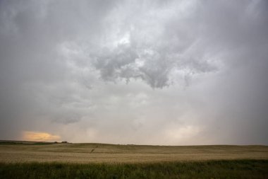 Uğursuz Fırtına Kırsal Yaz Sahnesi 'ni Bulutlandırıyor
