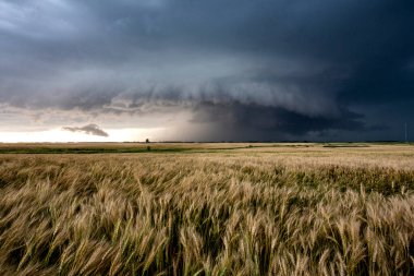 Uğursuz Fırtına Kırsal Yaz Sahnesi 'ni Bulutlandırıyor
