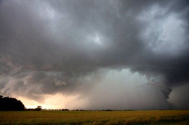 Uğursuz Fırtına Kırsal Yaz Sahnesi 'ni Bulutlandırıyor