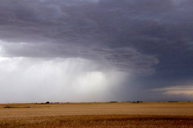 Uğursuz Fırtına Kırsal Yaz Sahnesi 'ni Bulutlandırıyor