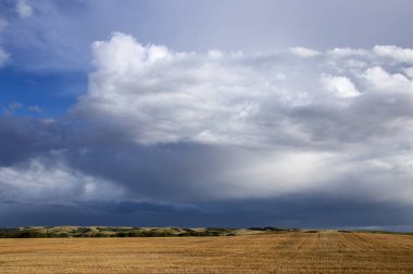 Uğursuz Fırtına Kırsal Yaz Sahnesi 'ni Bulutlandırıyor