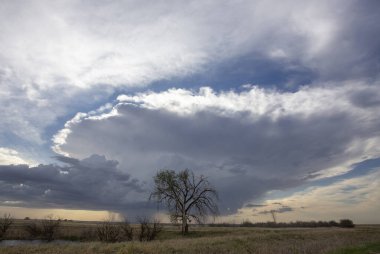 Uğursuz Fırtına Kırsal Yaz Sahnesi 'ni Bulutlandırıyor