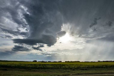 Uğursuz Fırtına Kırsal Yaz Sahnesi 'ni Bulutlandırıyor