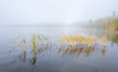 Kuzey Saskatchewan 'ın sonbaharı, el değmemiş kırsal manzarası.