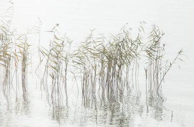 Saskatchewan 'da Gündoğumu Kuzey Gölü Kanada manzarası