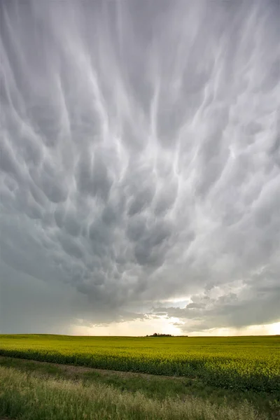 Ominosa Tempesta Nuvole Prateria Estate Rurale Scena — Foto Stock