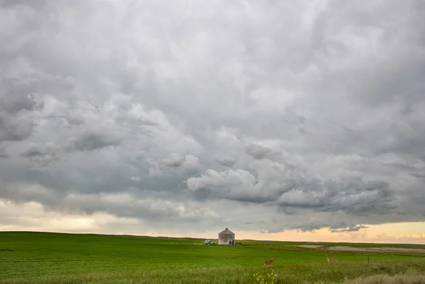 Ominous Storm Wolken Prairie Summer Rural Scene — Stockfoto