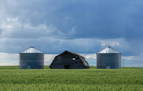 Ominosa Tempesta Nuvole Prateria Estate Rurale Scena — Foto Stock