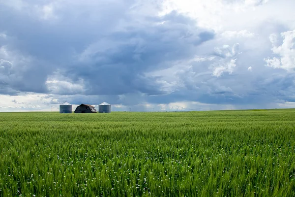 Ominous Storm Clouds Prairie Summer Rural Scene — Fotografia de Stock