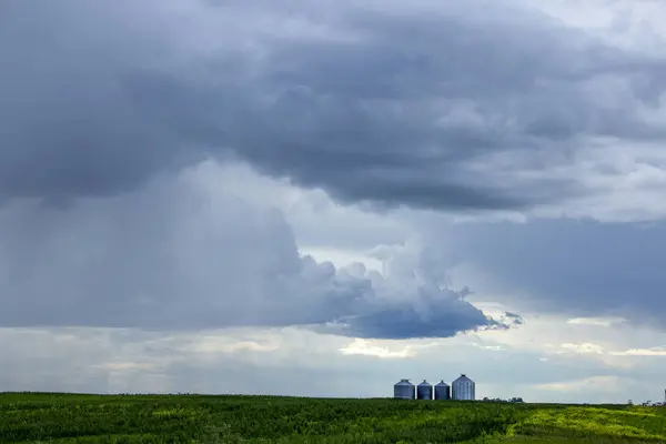 暴風雨雲大草原夏の田園風景 — ストック写真