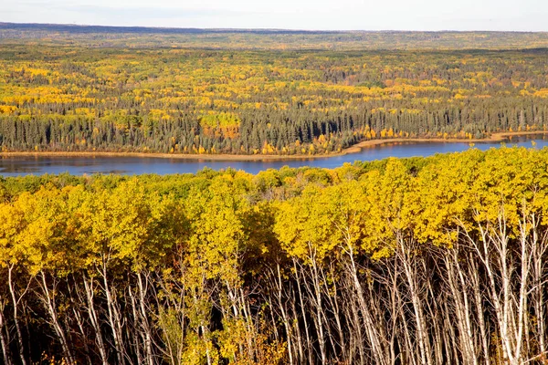 Panorama Outono Cores Prince Albert Natoinal Park — Fotografia de Stock