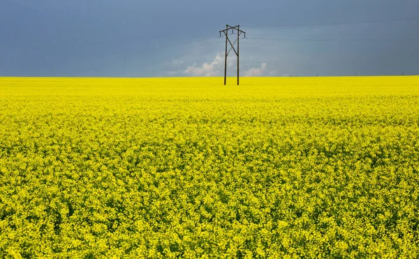 Ominosa Tempesta Nuvole Prateria Estate Rurale Scena — Foto Stock