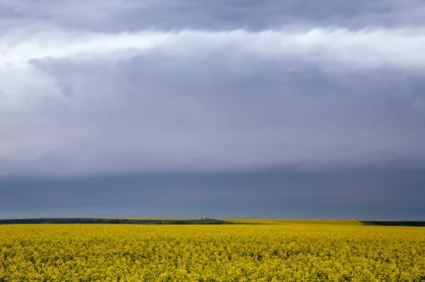 Ominous Storm Clouds Prairie Summer Rural Scene — Fotografia de Stock