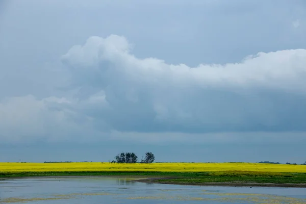 Ominosa Tempesta Nuvole Prateria Estate Rurale Scena — Foto Stock