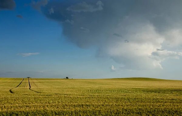 Ominous Storm Clouds Préri Nyári Vidéki Jelenet — Stock Fotó