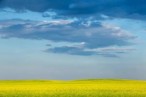 Ominosa Tempesta Nuvole Prateria Estate Rurale Scena — Foto Stock