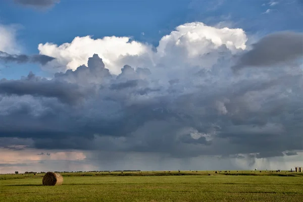 Ominante Tormenta Nubes Pradera Verano Escena Rural — Foto de Stock