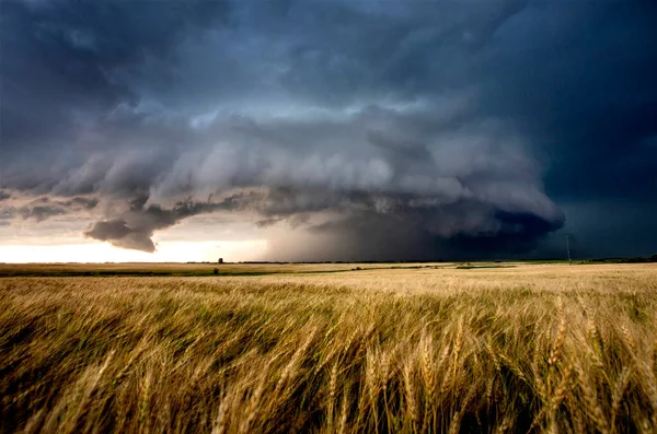 Ominante Tormenta Nubes Pradera Verano Escena Rural —  Fotos de Stock