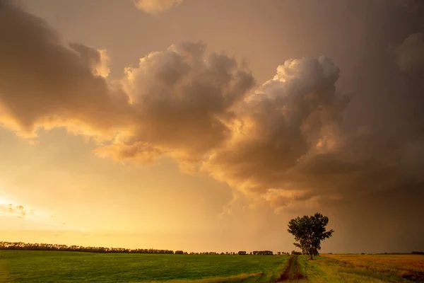Ominous Tempestade Nuvens Pradaria Verão Rural Susnet — Fotografia de Stock