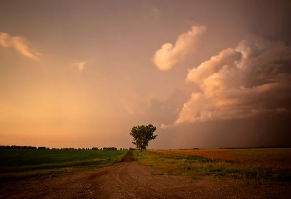 Ominous Storm Clouds Prairie Summer Rural Susnet — Stock Photo, Image