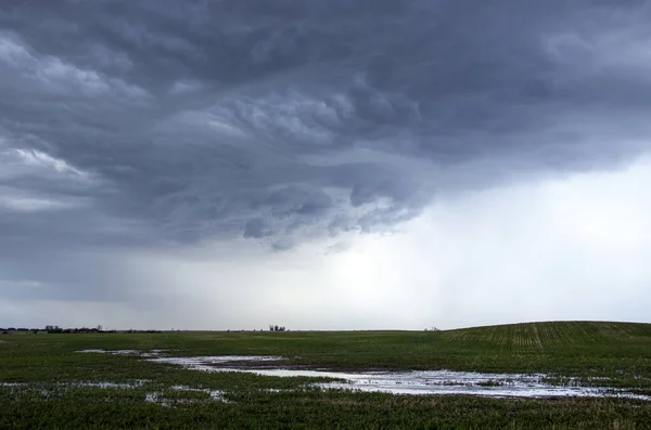 Ominous Storm Clouds Prairie Summer Rural Scene — Stock Photo, Image