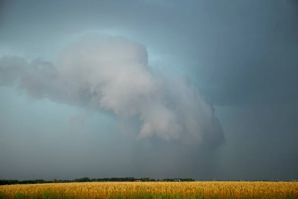 Nuages Tempête Menaçants Prairie Scène Rurale Estivale — Photo