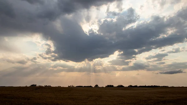 Ominante Tormenta Nubes Pradera Verano Escena Rural — Foto de Stock