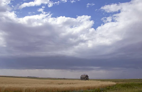 Ominante Tormenta Nubes Pradera Verano Escena Rural —  Fotos de Stock