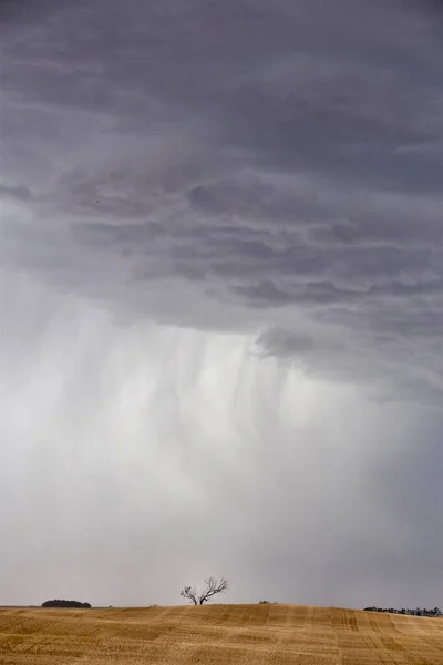 Ominous Storm Clouds Prairie Summer Rural Scene — Stock Photo, Image