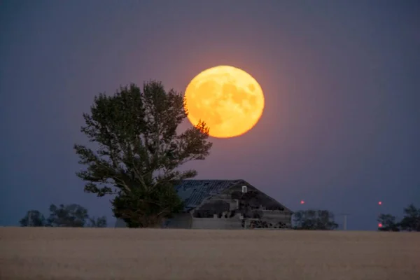 Pleine Lune Des Prairies Saskatchewan Canada Rural — Photo