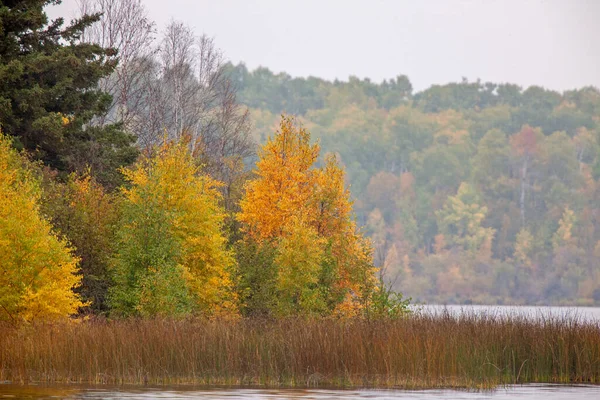 Otoño Norte Saskatchewan Silvestre Prestine Paisaje Rural — Foto de Stock