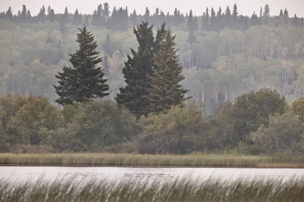 Otoño Norte Saskatchewan Silvestre Prestine Paisaje Rural — Foto de Stock