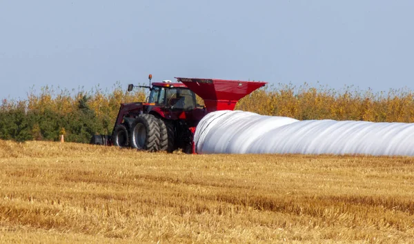 Sacchetto Grano Saskatchewan Trattore Riempimento Raccolto Canada — Foto Stock