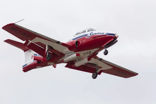 加拿大飞行中的雪鸟编队杂技飞行队 — 图库照片