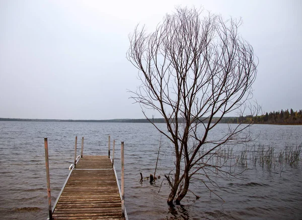 Meadow Lake Park Saskatchewan Καναδάς Επαρχιακή Σκηνικό — Φωτογραφία Αρχείου