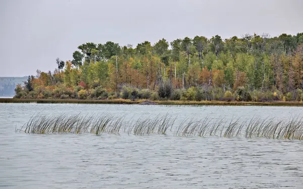 Herfst Noordelijke Saskatchewan Wildernis Prestine Landelijke Landschappelijke — Stockfoto