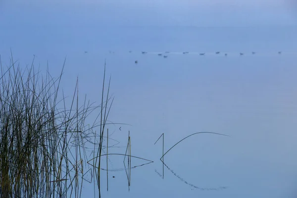 Wschód Słońca Northern Lake Saskatchewan Kanada Malownicze — Zdjęcie stockowe