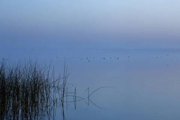 Sunrise Northern Lake Saskatchewan Kanada — Stockfoto