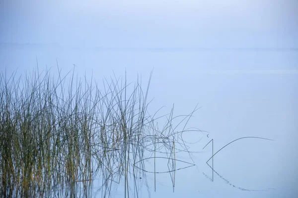 Saskatchewan 'da Gündoğumu Kuzey Gölü Kanada manzarası