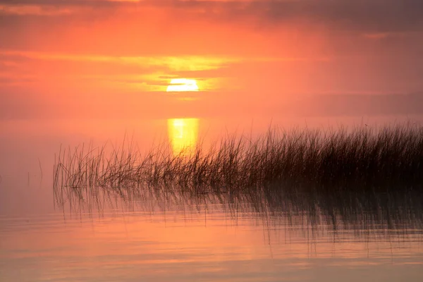 Sunrise Northern Lake Saskatchewan Canadá Escénico — Foto de Stock