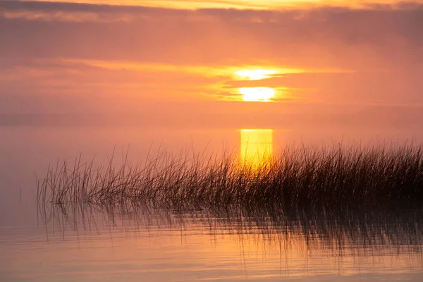 Sunrise Northern Lake Saskatchewan Kanada Festői — Stock Fotó