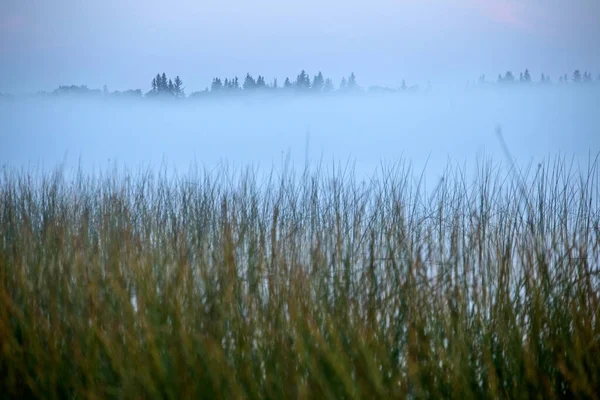 Sunrise Northern Lake Saskatchewan Kanada — Stockfoto